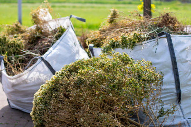 Best Garage Cleanout  in Madeira Beach, FL
